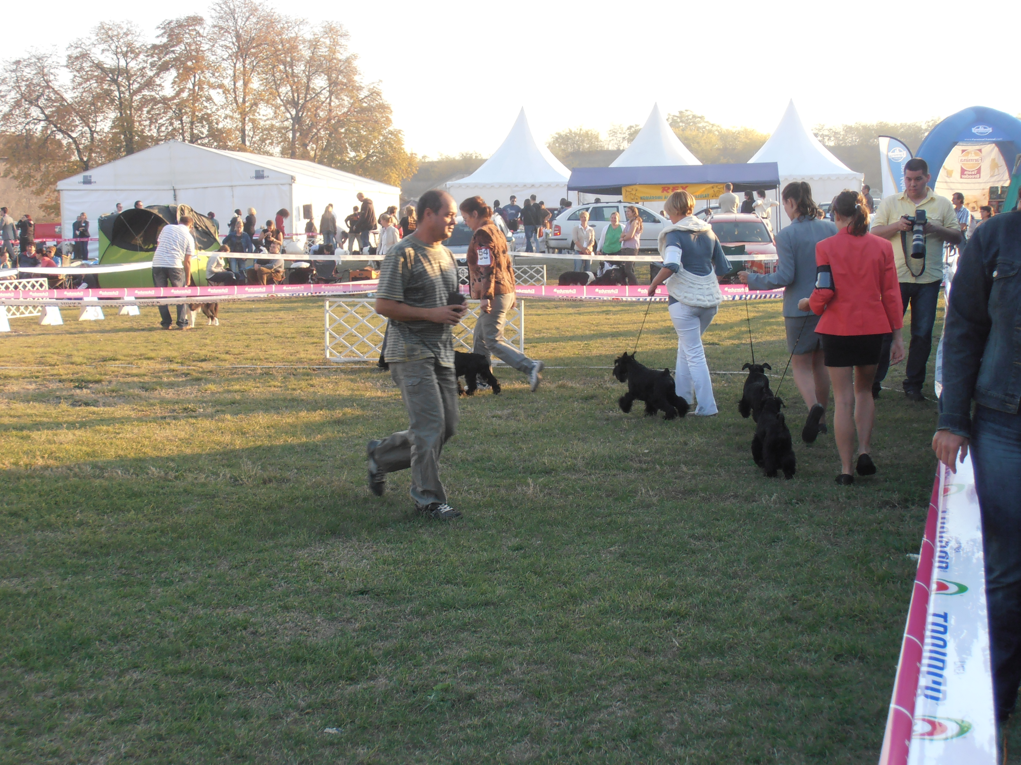 Felhaszn&aacute;l&oacute;i k&eacute;pek / 2012.10.20._075.jpg