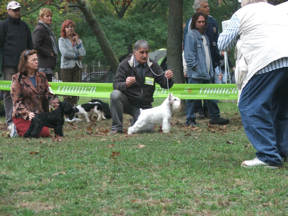 Felhasználói képek / dunaujvaros2012..jpg Felhasználói képek / dunaujvaros2012..jpg